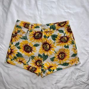 American Apparel Sunflower High Waisted Shorts